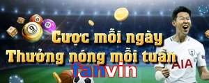 fanvin